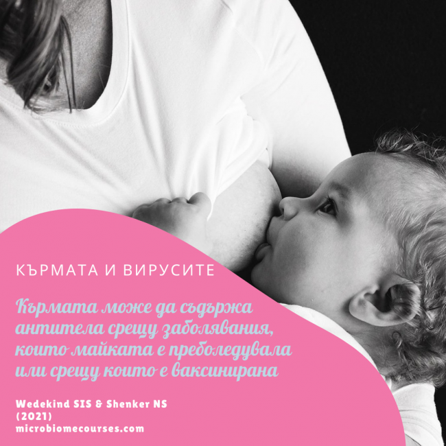 antiviral-properties-breastfeeding